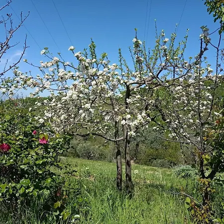 On The Hills Of *