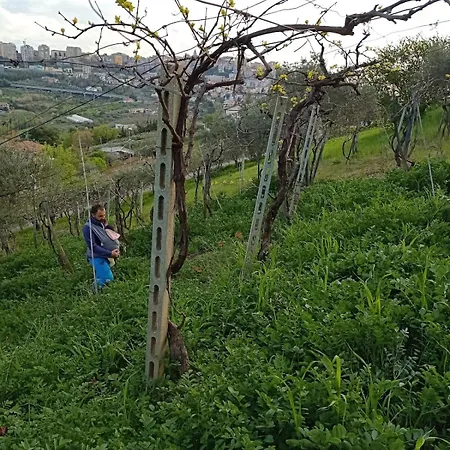 Hébergement de vacances On The Hills Of